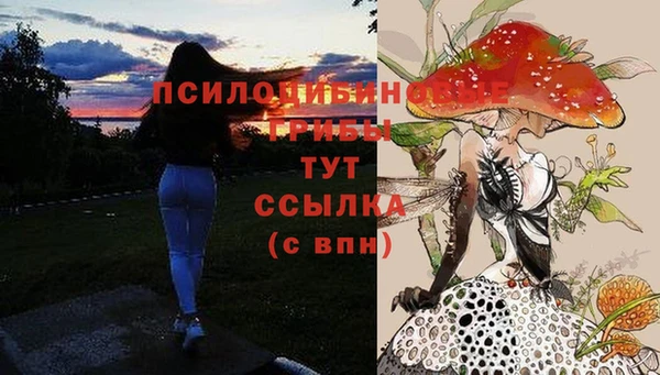 прущие крисы Карпинск