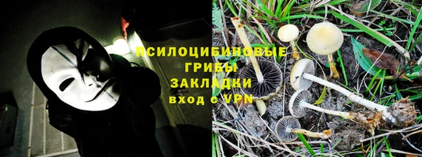 бошки Касимов