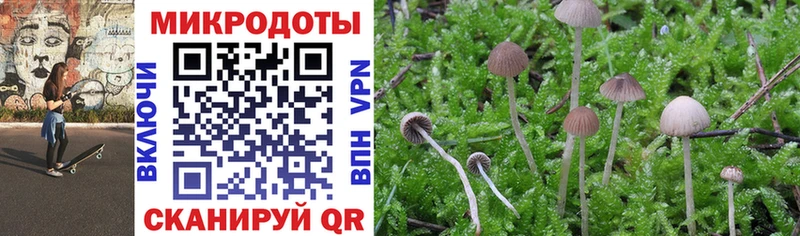 Галлюциногенные грибы мухоморы  Купить где  Зверево 